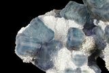 Multicolored Fluorite Crystals on Quartz - China #149747-2